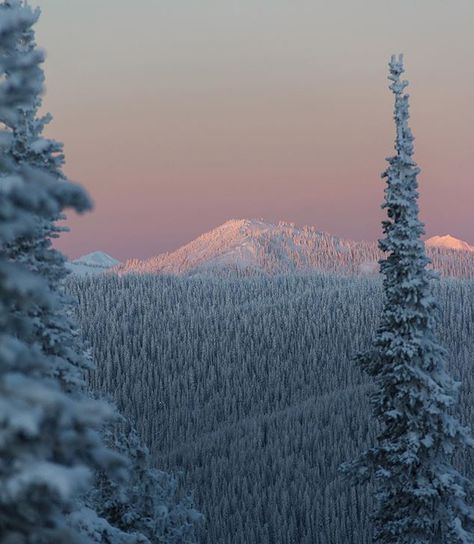 British Columbia Northern British Columbia, Cloud Forest, Mount Rainier, Open Space, British Columbia, North American, Columbia, Forest, Natural Landmarks