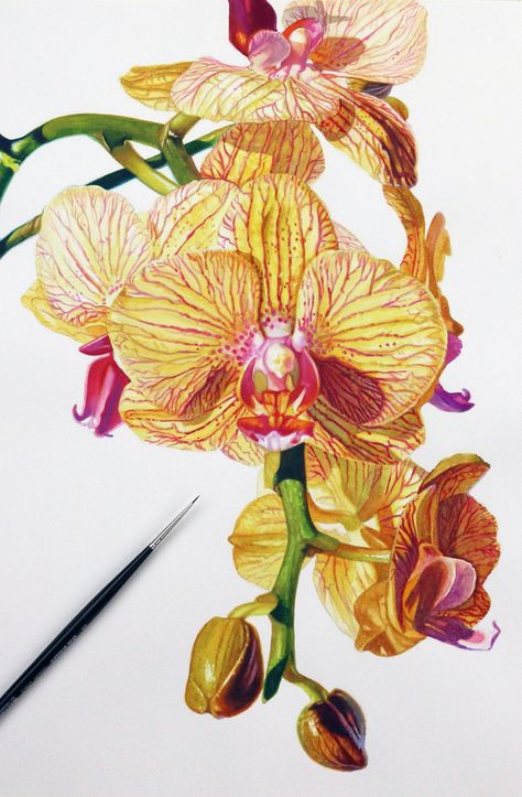 Orchid Drawing, Orchids Painting, Watercolor Workshop, A Very Merry Christmas, Illustration Botanique, One More Day, Botanical Painting, Botanical Watercolor, Happy Paintings