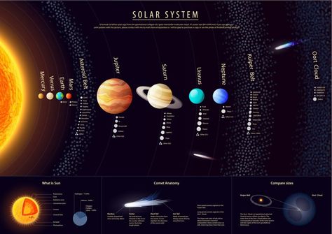 Solar System Details with Kuiper Belt (Photo Credit: shooarts / Fotolia) Space And Planets, Science Chart, Oort Cloud, Solar System Poster, Kuiper Belt, Planet Poster, Planet For Kids, Asteroid Belt, Apollo Missions