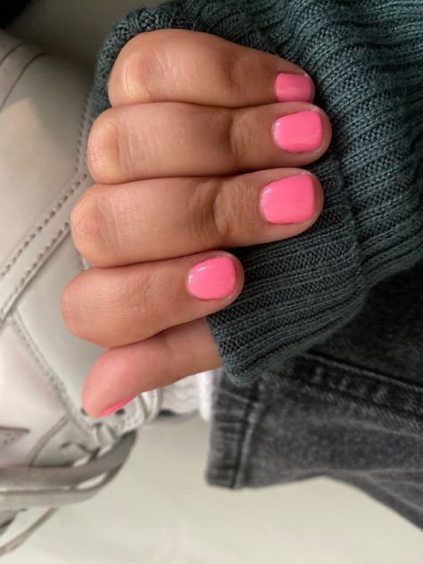 Preppy Nails Solid Colors, Senior Photo Nail Ideas, Nails For Europe Vacation, Solid Colour Nails Short, Shellac Nails Summer 2024, Easy Summer Nails Short, Painted Nails Ideas Polish No Acrylic, Super Short Natural Nails, Short One Color Nails