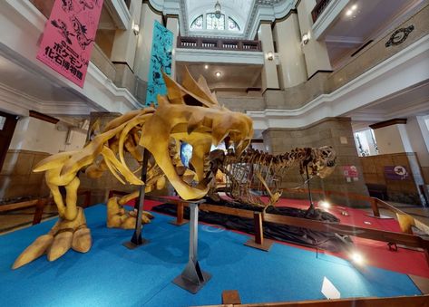 Take a virtual tour of the Pokémon Fossil Museum at the National Museum of Nature and Science in Tokyo | Boing Boing Fossil Museum, Real Dinosaur, Nature Museum, Digital Museum, Chandler Bing, Childrens Museum, Dinosaur Fossils, Museum Exhibition, National Museum