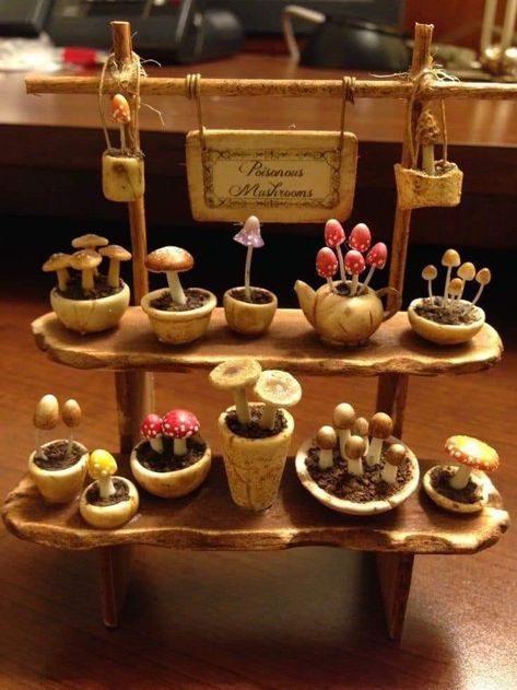 Stile Harry Potter, Mushroom Crafts, Fairy Garden Crafts, Curated Home, Fairy Furniture, Halloween Miniatures, Fairy Crafts, Dollhouse Miniatures Diy, Mini Craft