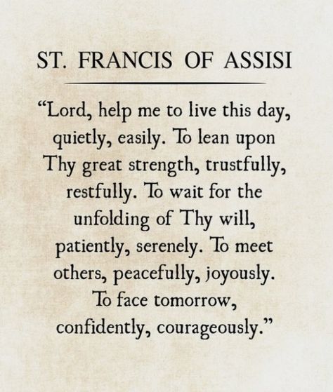 Francis Of Assisi Quotes, Prayer Of St Francis, Lord Help, St Francis Of Assisi, Lord Help Me, Saint Francis, Saint Quotes, Psalm 91, Francis Of Assisi