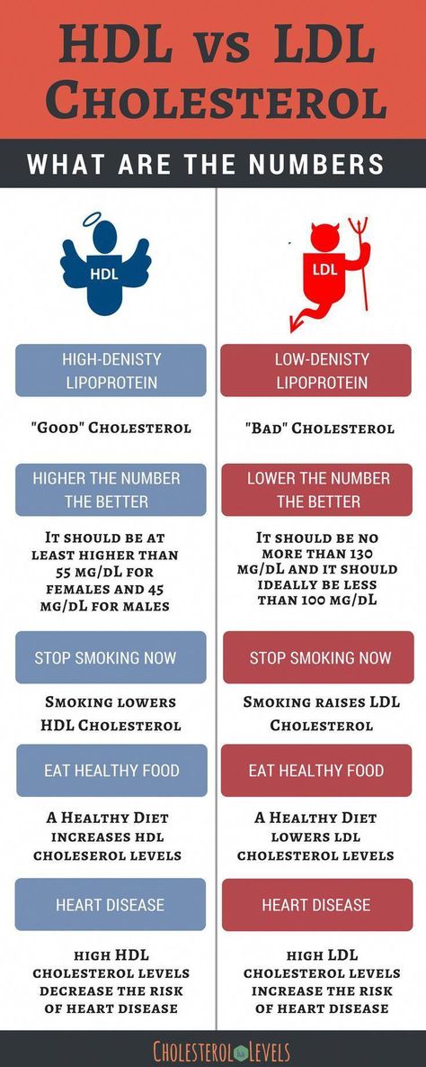 what is the difference between hdl and ldl cholesterol. HDL is considered the 'good' cholesterol and LDL is considered the 'bad' cholesterol. #hdl #hdlcholelsterol #ldl #ldlcholesterol #GreenCoffeeAndWeightLoss Tlc Diet, What Causes High Cholesterol, Lower Triglycerides, Cholesterol Test, Lowering Ldl, High Cholesterol Levels, Lower Your Cholesterol, Hdl Cholesterol, Cholesterol Diet