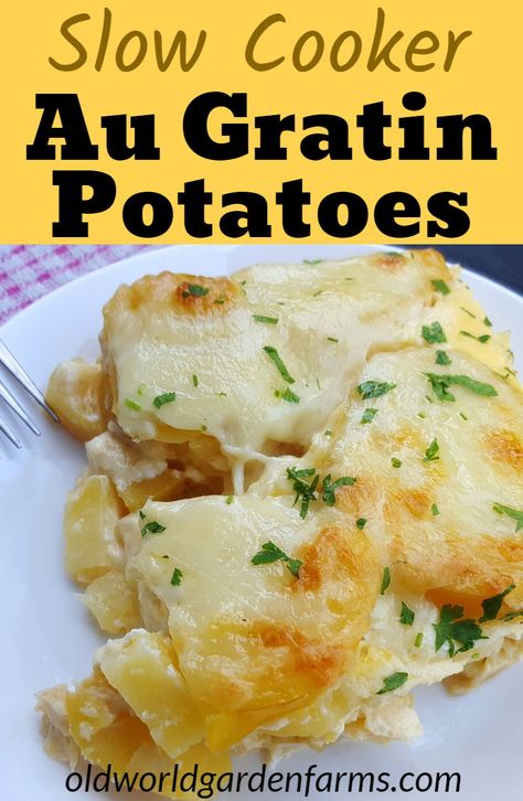 Crockpot Au Gratin Potatoes, Au Gratin Potatoes Crockpot, Creamed Soups, Au Gratin Potatoes Recipe, Gratin Potatoes Recipe, Crockpot Potatoes, Potato Recipes Crockpot, Potato Au Gratin, Slow Cooker Potato