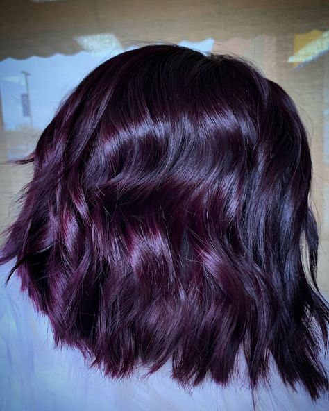 Plum Hair Color Short, Dark Purple Hair Short, Short Plum Hair, Dark Purple Hair Color Ideas, Dark Purple Hair Color, Purple Hair Color Ideas, Purple Hair Color, Hair Color Plum, Highlights For Dark Brown Hair