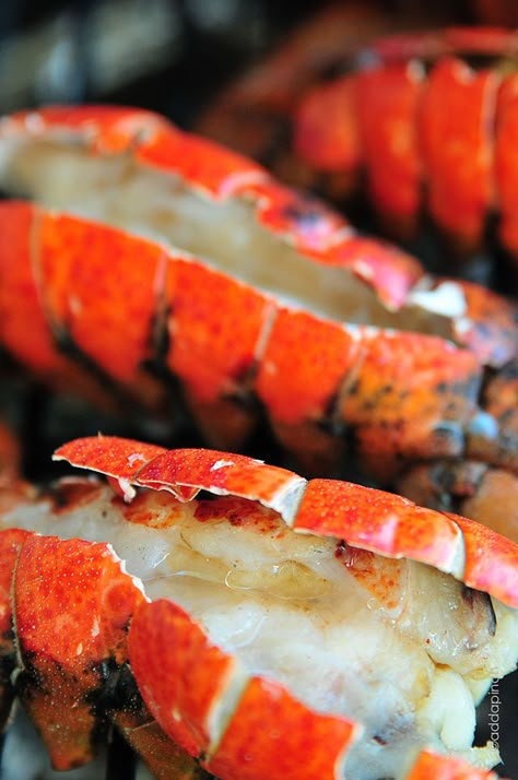 Smoked Lobster Tails are huge on flavor and elegance, yet easy on preparation. Get this scrumptious Smoked Lobster Tails recipe you are sure to love. Smoked Lobster Tail, Smoked Lobster Tail Recipe, Smoked Lobster, Bbq Smoker Recipes, Smoker Recipes Electric, Traeger Grill Recipes, Lobster Recipes Tail, Meat Smoker, Smoker Cooking