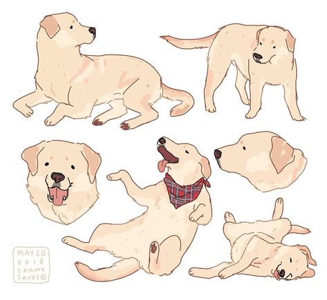 sammy savos on Instagram: “commission for brightdiscontent on tumblr!  #dog #dogs #puppy #puppies #art #labrador #labradors #lab #labs #yellowlab #yellowlabrador…” Dog Trace Drawing, Labrador Character Design, Sammy Savos Dogs, Labrador Drawing Cartoon, Lab Dog Drawing, Cute Dog Poses, Dog Reference Drawing, Toast Tattoo, Sammy Savos