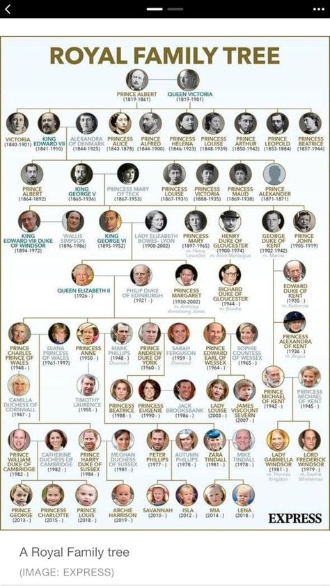 Royal Family Tree, British Royal Family Tree, Royal Family History, Queen Elizabeth Photos, Royal Family Fashion, Royal Family Trees, Scottish Ancestry, Royal Family Pictures, Knots Guide