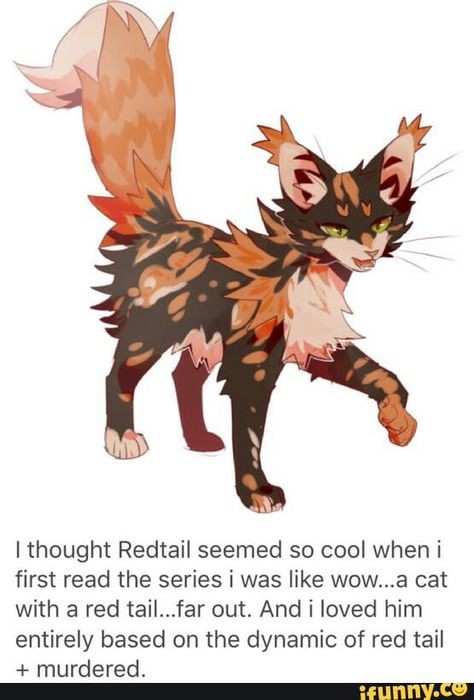 Warrior Cats Warrior Cat Memes, Warrior Cats Series, Warrior Cats Books, Warrior Drawing, Cat Anatomy, Warrior Cats Fan Art, Warrior Cat Drawings, Warrior Cat Oc, Love Warriors