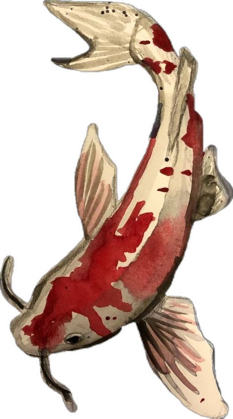 Simple To Draw, Watercolor Koi Fish, Koi Fish Drawing, Koi Watercolor, Scrapbook Images, Scrapbook Printing, Collage Scrapbook, Watercolour Paint, Fish Drawings