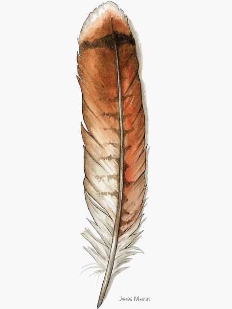 Redtail Hawk Feather Tattoo, Red Tail Hawk Feathers, Hawk Feathers, Red Tailed Hawk, Feather Tattoo, Feather Art, Brilliant Colors, Framed Art Prints, Metal Prints