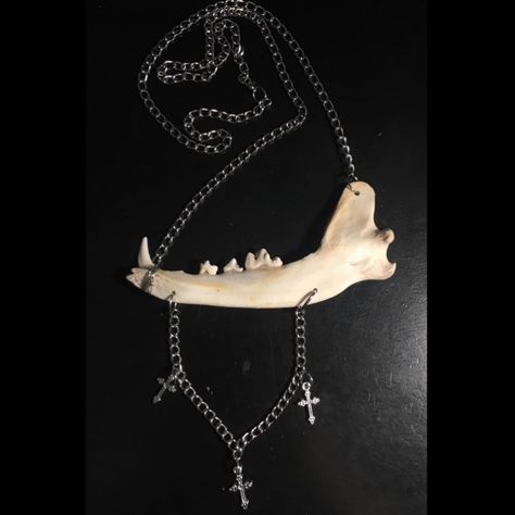 Animal Bone Jewelry, Vulture Culture, Bone Jewelry, Jaw Bone, Animal Bones, Taxidermy, Goth Fashion, Grunge Fashion, Punk Fashion