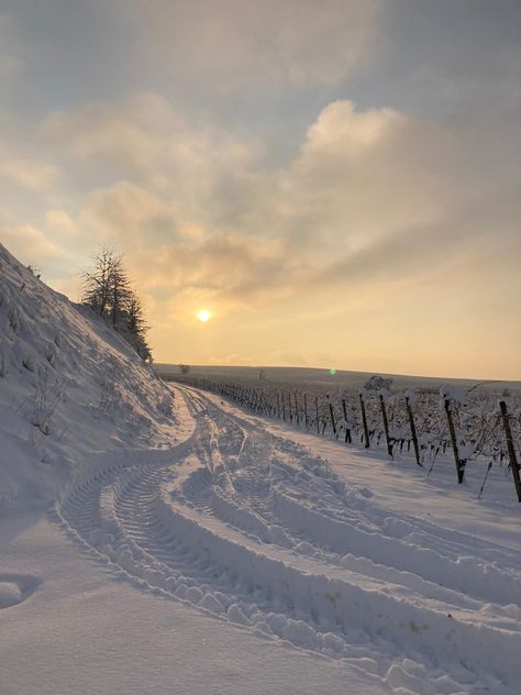 Snow Snow Day Aesthetic, Virat Kohli Portrait Photography, Snow And Sun, Snow Pics, Snow Night, Spring Snow, Wallpaper Winter, Winter Survival, Snow Pictures