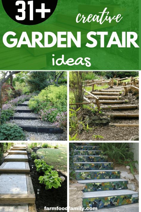 Sloping Pathway Walkways, Forest Steps Pathways, Garden Steps On A Slope, Hill Steps, Stock Tank Gardening, Dry Riverbed Landscaping, Old Door Projects, Landscaping Architecture, Hydrangea Landscaping