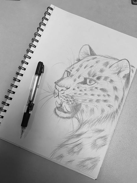 #leopard #amurleopard #drawing Drawing Ideas Leopard, Black Panther Drawing Animals Sketch, Exotic Animals Drawings, Giraffe Pen Drawing, Amur Leopard Drawing, Exotic Drawing Sketch, Leopard Drawing Sketch, Leapord Drawings, Cheetah Drawing Easy