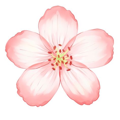 Pink Flowers Cartoon, Pink Flowers Drawing, Pastel Pictures, Watercolor Templates, Florist Logo, Watercolor Flowers Tutorial, Flowers Tutorial, Watercolor Designs, Kids Planner