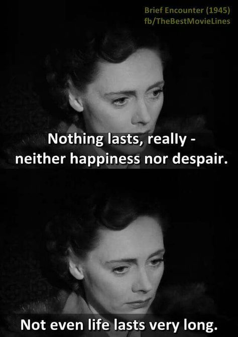 Any questions? Best Movie Lines, Brief Encounter, Movie Lines, Life Happens, Life Goes On, Movie Quotes, Good Movies, Tv Series, Incoming Call Screenshot