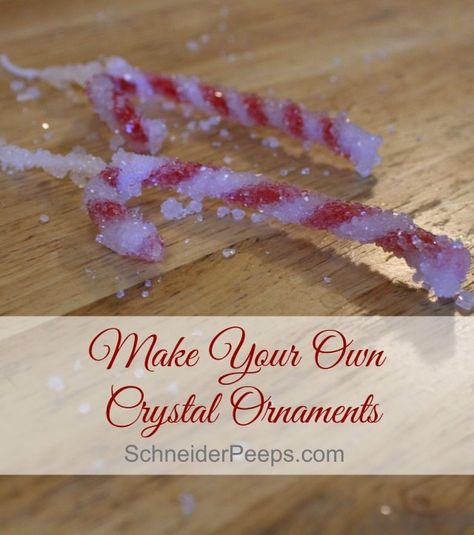 Borax Crystals Diy Christmas, Borax Christmas Ornaments, Pipe Cleaner Crystals, Borax Ornaments, Borax Crystal Ornaments, Borax Crystals Diy, Borax Snowflakes, Snowflakes Science, Peppermint Decor