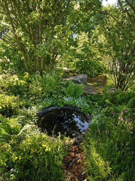 Natural Garden Pond, Dan Pearson Garden Design, Water In Garden, Dan Pearson Garden, Natural Garden Ideas, Pond In Garden, Natural Water Feature, Woodland Garden Ideas, Natural Water Features