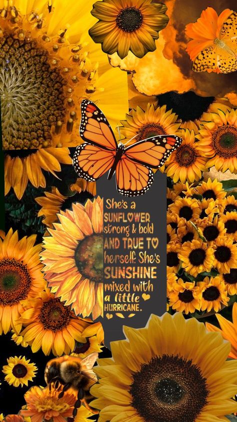 Cute Iphone Wallpaper Tumblr, Satisfying Pictures, Hippie Quotes, Floral Wallpaper Iphone, Sunflower Pictures, Lovely Flowers Wallpaper, Sunflower Wallpaper, Edgy Wallpaper, Backgrounds Phone Wallpapers