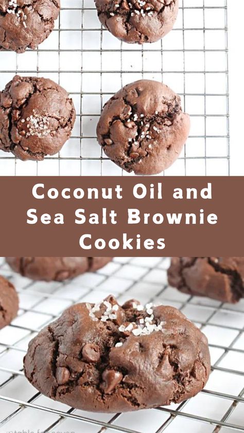 Coconut Oil and Sea Salt Brownie Cookies Chocolate Coconut Flour Cookies, Coconut Oil Cookie Recipes, Coconut Oil Dessert Recipes, Coconut Oil Dessert, Cookies Made With Coconut Oil, Cookie Recipe With Oil, Cookies With Coconut Oil, Coconut Oil Chocolate Chip Cookies, Coconut Oil Cookies