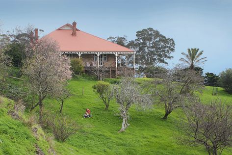 HISTORIC TONTO HOMESTEAD - Australia Country Magazine Haunted Farm, Farmhouse Chic Living Room, Ross Williams, Homestead Decor, Farm Aesthetic, Australian Country, Australia Country, Country Magazine, Farmhouse Paint Colors