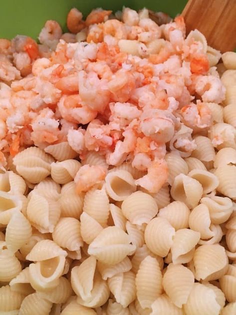 Shrimp Pasta Salad Recipes Cold, Small Shell Pasta Recipes, Shrimp Pasta Salad Recipes, Pasta Shrimp Salad, Cold Shrimp Pasta Salad, Cold Pastas, Pasta Salad With Shrimp, Shell Noodles, 1905 Salad Recipe