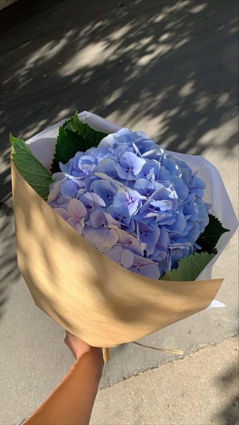 Hydrangea Bouquet Aesthetic, Blue Hydrangea Bouquet, Prettiest Flowers, Hydrangea Vase, Flower Garden Plans, Flower Boquet, Hydrangea Bouquet, Boquette Flowers, Flowers Bouquet Gift