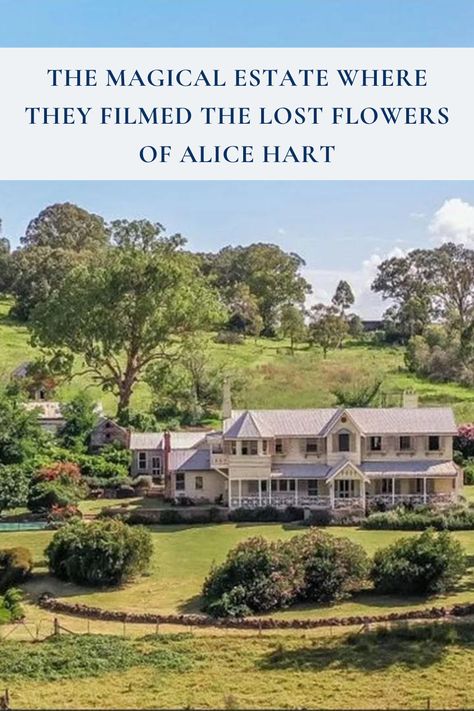 We found the real-life Thornfield house where they filmed The Lost Flowers of Alice Hart and it’s as enchanting as you might expect. Tap the link for a full tour. The Lost Flowers Of Alice Hart, Wallpapered Bedrooms, Alice Hart, Hart House, Kangaroo Paw, Australian Wildlife, Pre Production, Wallpaper Bedroom, Flower Farm