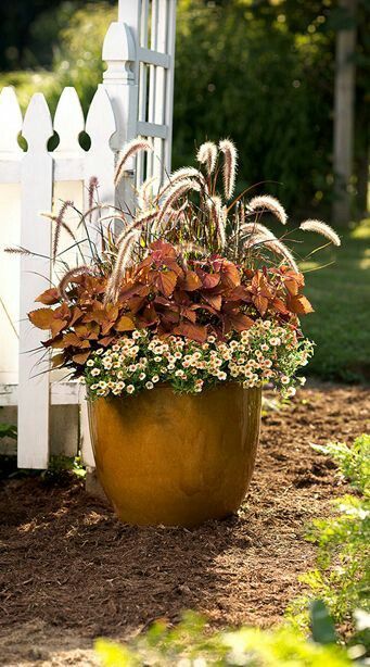 10 Fall Flower Containers With a Unique Twist | Pretty Purple Door Fall Flower Pots, Fall Pots, Fall Container Gardens, Fall Containers, Container Garden Design, Fountain Grass, Container Gardening Flowers, Fall Planters, Garden Wallpaper