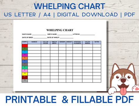 Whelping chart editable, whelping record, puppy whelping, breeder forms printable PDF instant download Dog Breeding Paperwork, Puppy Whelping Chart, Puppy Weight Chart Printable, Dog Breeding Supplies, Whelping Charts Free Printable, Puppy Breeder Setup, Dog Breeder Setup, Whelping Chart, Whelping Box Ideas