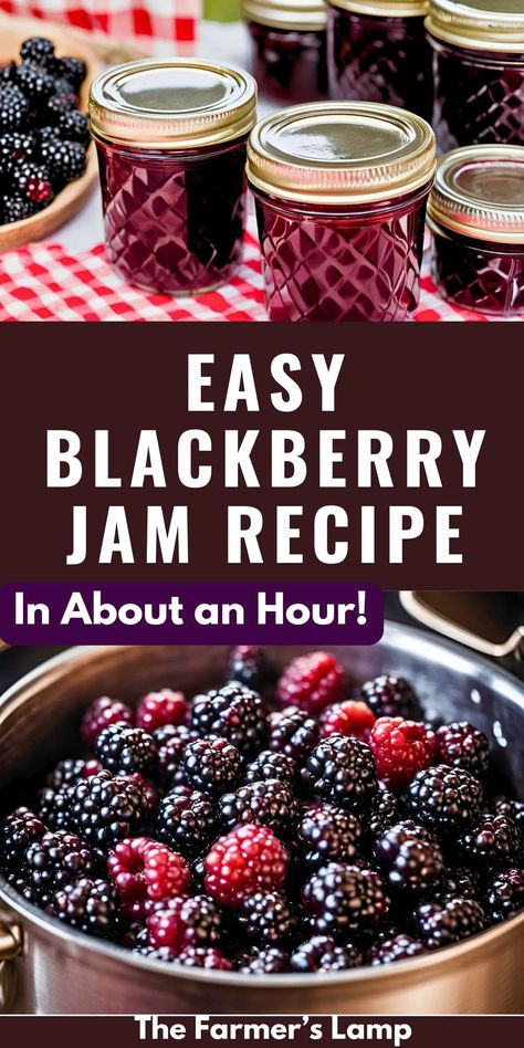 Easy Blackberry Jam Recipe • The Farmer's Lamp