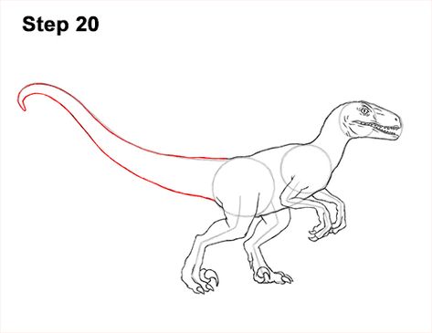 Velociraptor Drawing Easy, How To Draw A Velociraptor, How To Draw A Dinosaur, Velociraptor Art, Velociraptor Drawing, Blue The Velociraptor, Blue Velociraptor, Jurassic Park Tattoo, Velociraptor Blue