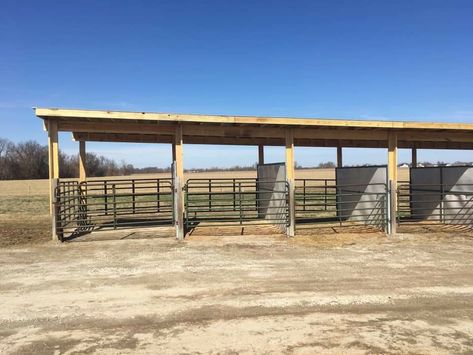 Overnight/horse hotel stalls. Great for competition or for those passing through! Outside Horse Stalls, Horse Stalls Cheap, Roping Arena, Horse Barn Ideas, Simple Horse Barns, Show Cattle Barn, Small Horse Barns, Horse Pens, Horse Shed