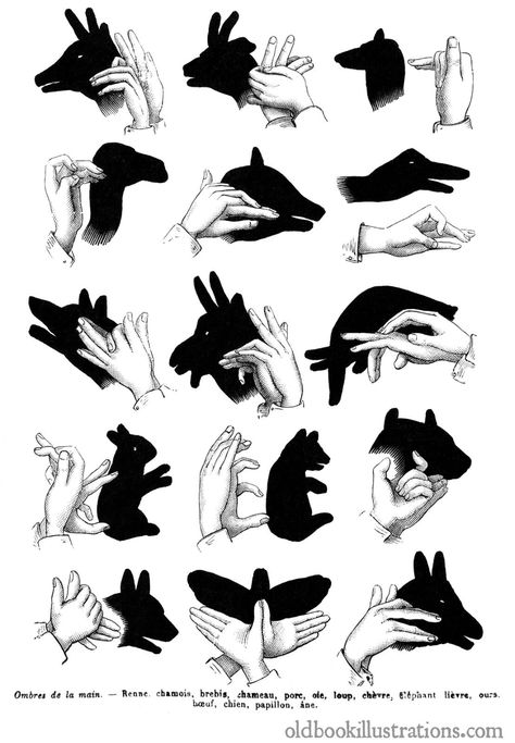 Hand Shadow Puppetry – Old Book Illustrations Shadow Puppets With Hands, Hand Shadows, Shadow Illustration, Shadow Art, Shadow Play, Animal Silhouette, Shadow Puppets, Hand Puppets, Fun Prints