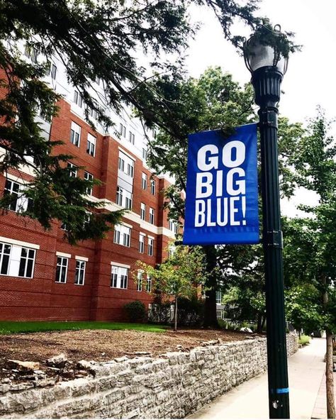 Kentucky University Aesthetic, University Of Kentucky Aesthetic, Kentucky Aesthetic, Academia Barbie, Reed Sheppard, University Of Kentucky Campus, Uk Door, University Of Kentucky Football, University Of Ky