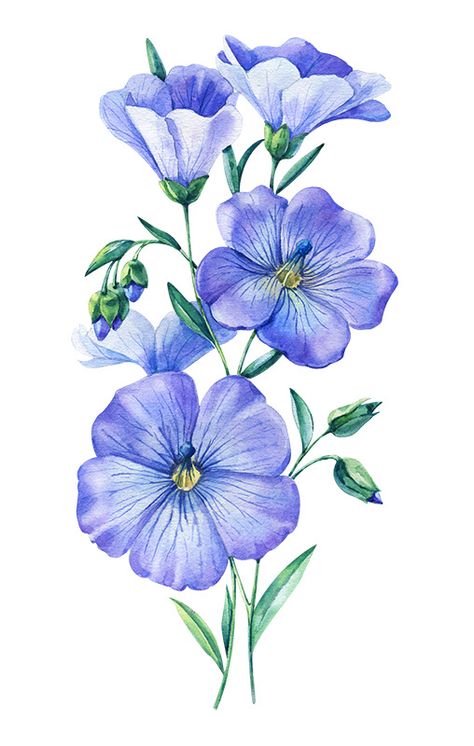 Watercolor flowers 2020 on Behance Watercolor Tulips, Flower Art Drawing, Flower Painting Canvas, Cool Pencil Drawings, Flower Sketches, Floral Drawing, Watercolor Flower Art, 수채화 그림, Watercolor Art Lessons