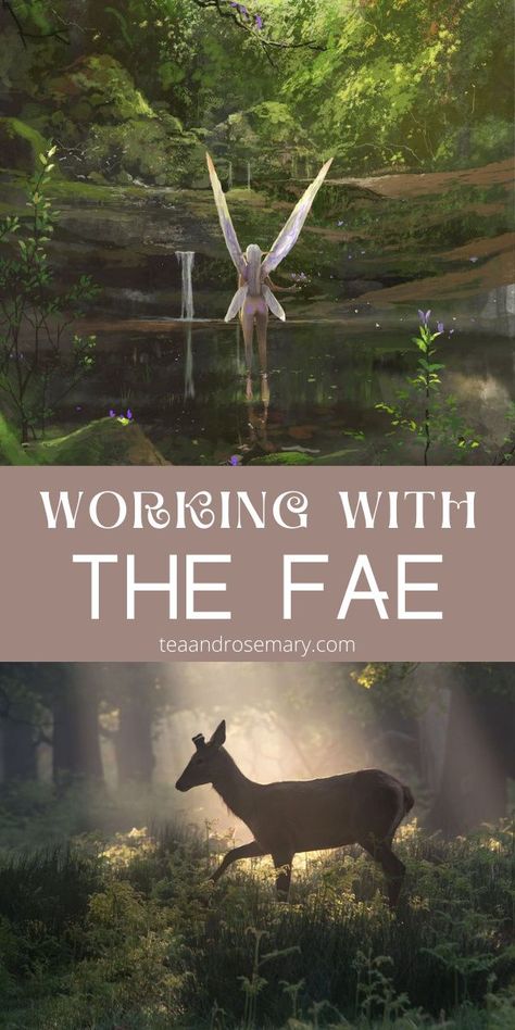 Fae Magick Spells, Fairy Offering Ideas, How To Work With The Fae, Witch Fairy Aesthetic, Fae Abilities, The Fae Folk, Working With Angels, Brownie Fae, Rules Of The Fae