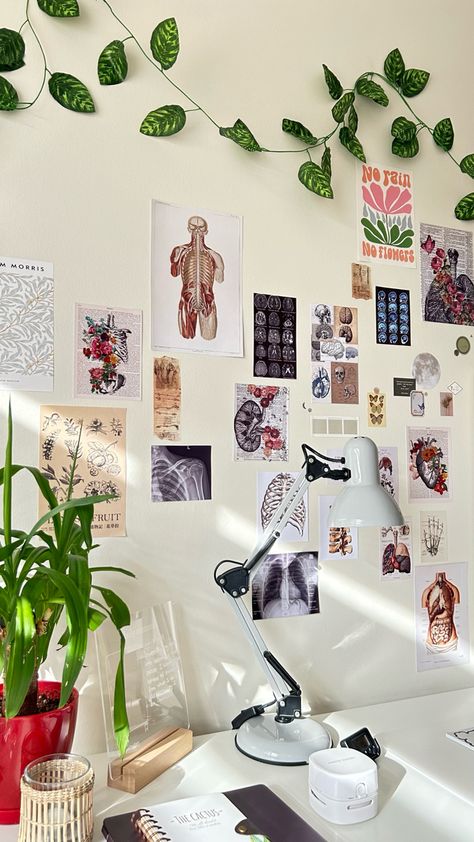 Medical Room Aesthetic, Kinesiology Major Aesthetic, Medical Room Decor, Medical Student Room Decor, Physician Aesthetic, Physician Assistant Aesthetic, Kinesiology Aesthetic, Phlebotomy Aesthetic, Physical Therapy Assistant Student