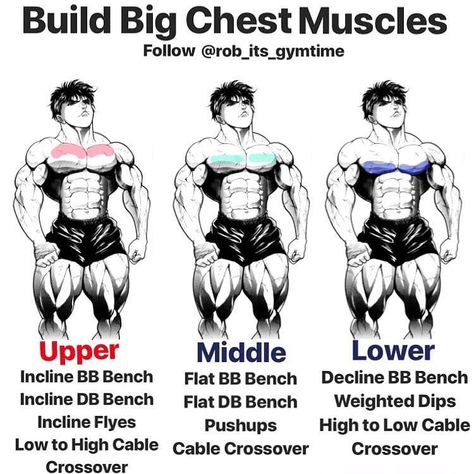 Motivation Fitness Park, Chest Muscles, Chest Workouts, Chest Workout, Gym Workout Tips, Bodybuilding Workouts, Workout Guide, Gym Time, Weights Workout