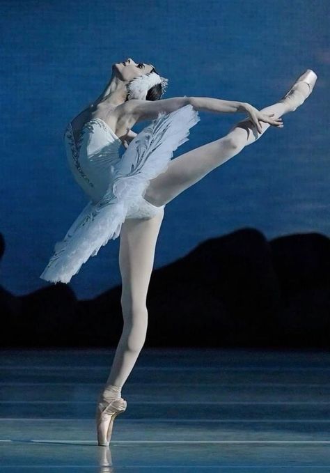 2024 Mindset, Culture Fair, Maria Khoreva, Swan Lake Ballet, Dance Picture Poses, Ballet Pictures, Ballet Beauty, Ballet Poses, Ballet Dance Videos