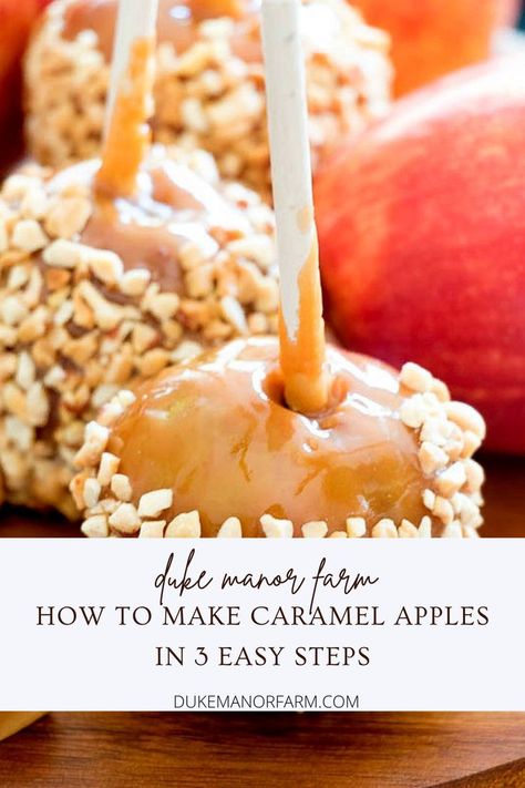 caramel apples plain and with nuts Caramel Apples With Kraft Caramels, Kraft Caramel Apples, Easy Carmel, Carmel Apple Recipe, Easy Caramel Apples, Soft Caramels Recipe, Taffy Recipe, Taffy Apple, Caramel Apples Recipe