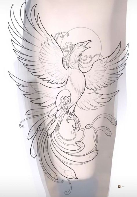 Bird Legs Drawing, Drawing Of A Bird, Drawing Tattoo Ideas, Legs Drawing, Tattoos Sketches, Phoenix Drawing, Phoenix Tattoo Feminine, Phoenix Bird Tattoos, Phoenix Artwork