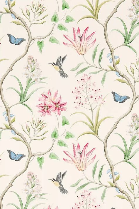 Sanderson Clementine Wallpaper | Anthropologie UK Clementine Wallpaper, Sanderson Wallpaper, Width Wallpaper, Deer Wallpaper, Paradise Wallpaper, Dance Wallpaper, Throw Blanket Gift, Wallpaper Inspiration, New Home Decor