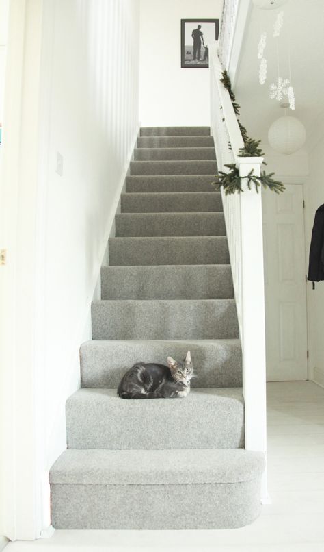 Pale grey stair carpet Light Grey Carpet, Grey Carpet Hallway, Grey Stair Carpet, Grey Carpet Bedroom, Light Gray Carpet, Stairs Carpet, Carpet Diy, Landing Ideas, Grey Hallway