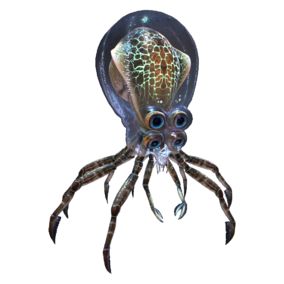 Fauna | Subnautica Wiki | Fandom Subnautica Creatures, Subnautica Concept Art, Crystal Caves, Shoal Of Fish, Horseshoe Crab, Lost River, Underwater City, Cinematic Trailer, Spider Art