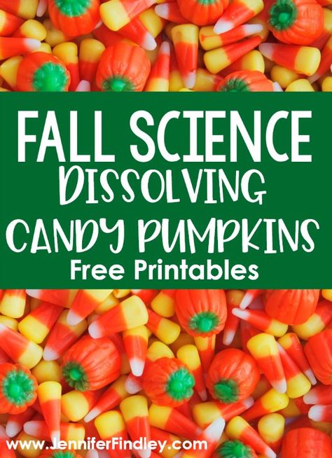 Posters For Teachers, Pumpkin Science Experiment, Candy Science Experiments, Candy Pumpkins, Motivational Quotes For Teachers, Candy Science, Pumpkin Science, Jennifer Findley, Quotes For Teachers