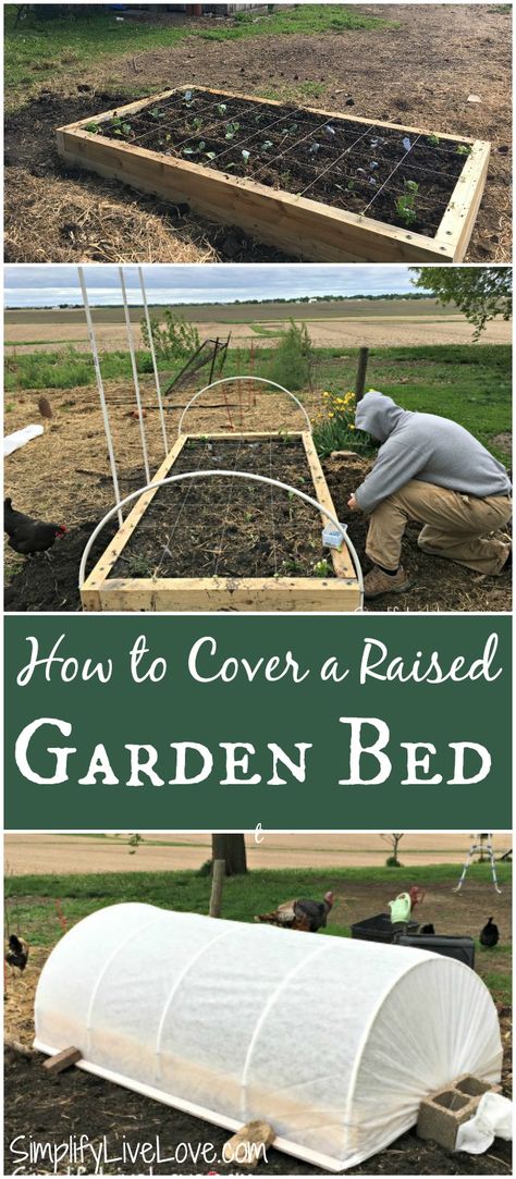 Stock Tank Garden Raised Beds, Raised Bed Vegetable Garden Layout, Urban Garden Design, Vegetable Beds Raised, Vegetable Garden Raised Beds, Garden Layout Vegetable, Diy Raised Garden, Veg Garden, Garden Boxes