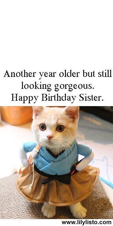 Friendship Quotes Happy, Funny Happy Birthday Sister, Birthday Sister Funny, Happy Birthday Sister Funny, Sister Happy Birthday, Happy Birthday Wishes For Him, Happy Birthday Wishes Sister, Happy Birthday Wishes For A Friend, Happy Birthday Sister Quotes